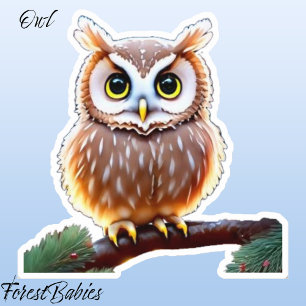 Owl 🦉Cute Whimsical Wildlife Bird, Nature Animal