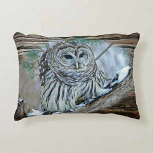 Owl Decorative Cushion
