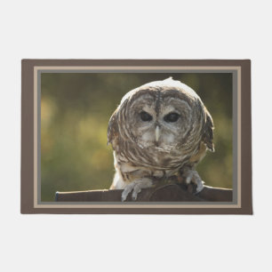 Owl doormat
