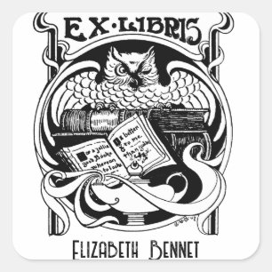 Owl Ex Libris bookplate Square Sticker