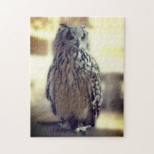 Owl Experience Somerset Camera Pose Bird Photo Jigsaw Puzzle