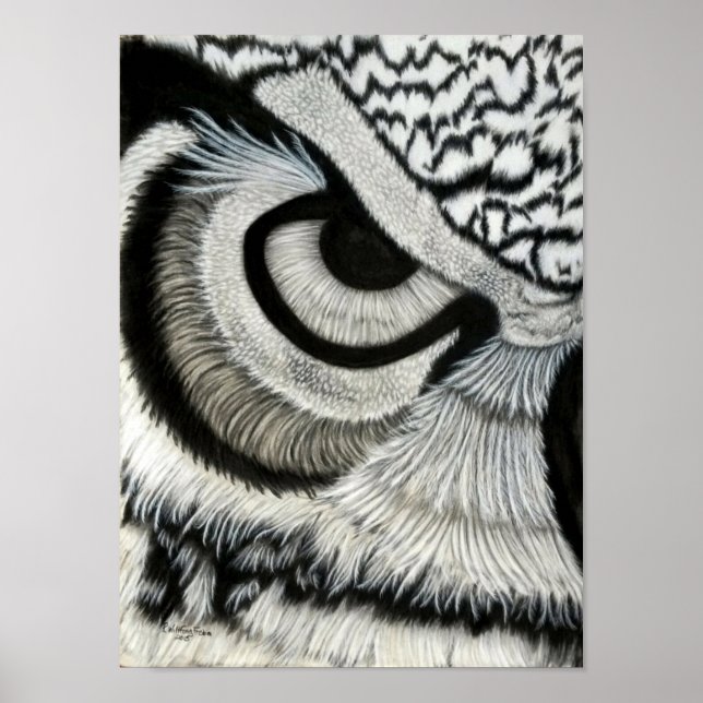 Owl Eye (left) Poster (Front)