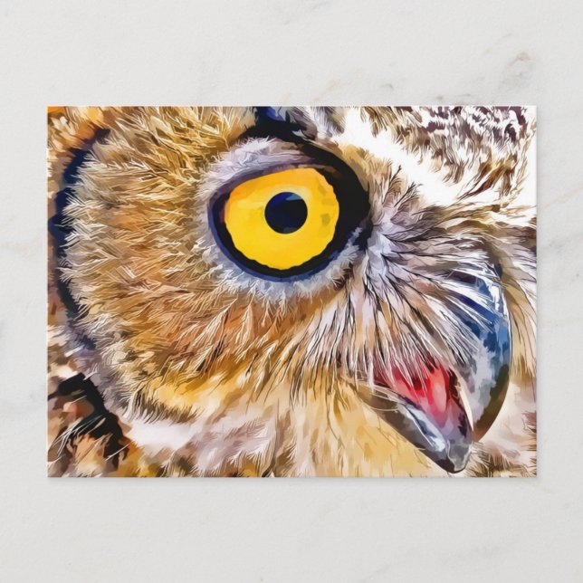 Owl Eye Postcard (Front)