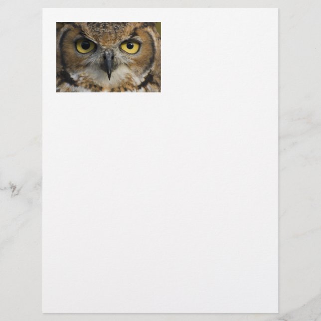 Owl Eyes (Front)