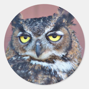 Owl Eyes Classic Round Sticker