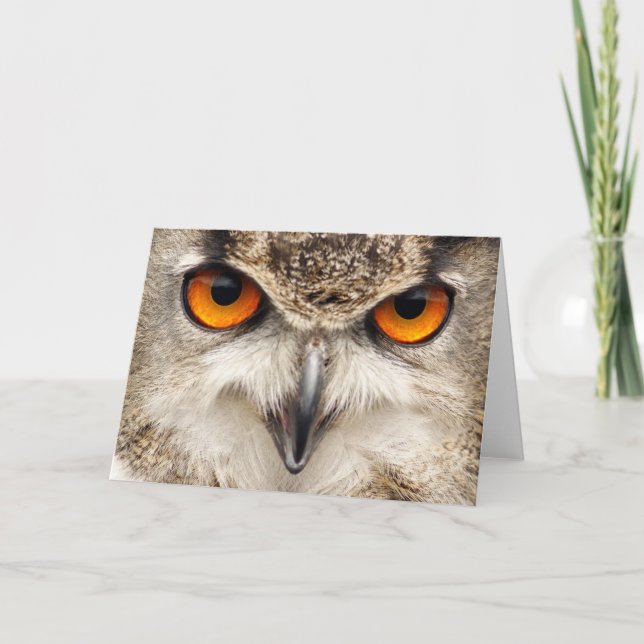 Owl Eyes, Eyes of the Eagle Owl Photograph Card (Front)