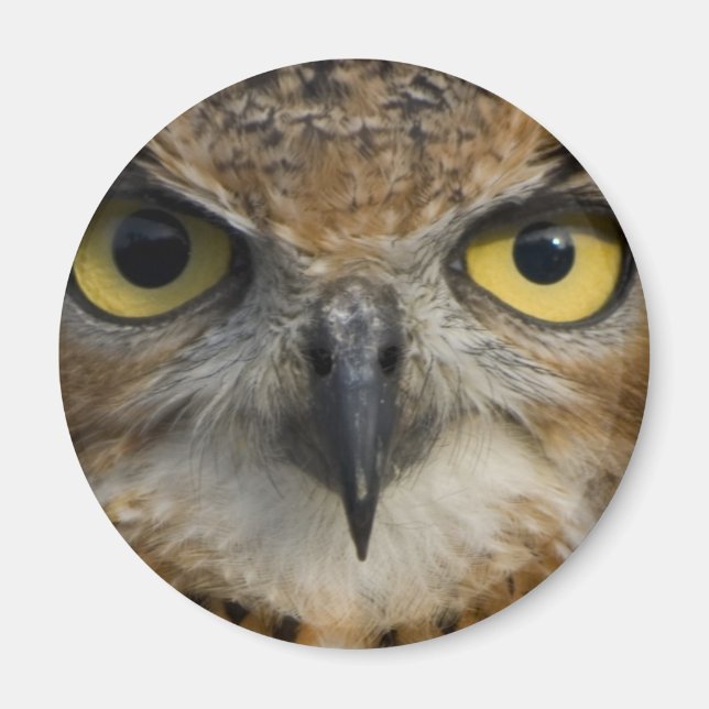 Owl Eyes Magnet (Front)