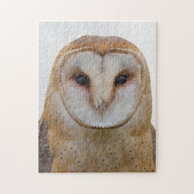 Owl Face Bird Wildlife Jigsaw Puzzle (Vertical)
