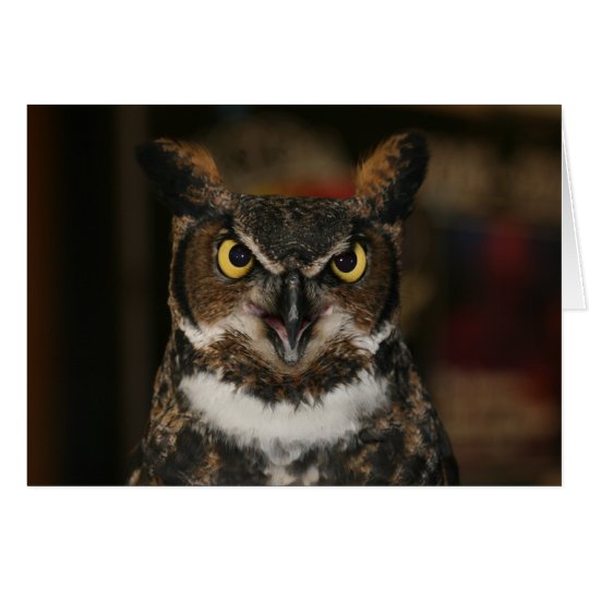 Owl Father's Day Card