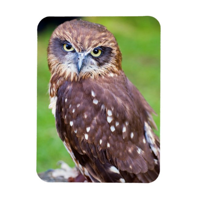 Owl Flexible magnet (Vertical)