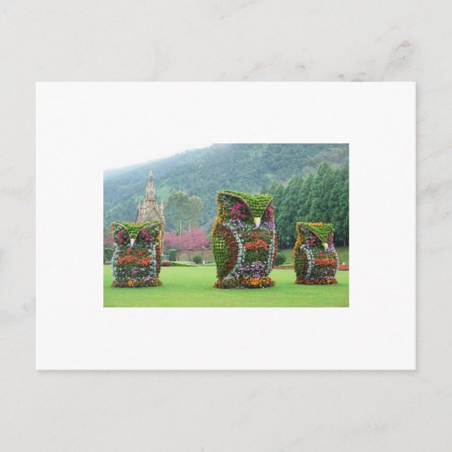 owl flower statues postcard (Front)