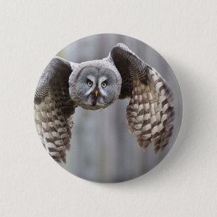 owl flying animal feathers bird park forest birds 6 cm round badge