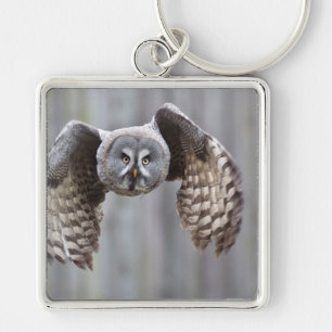 owl flying animal feathers bird park forest birds key ring