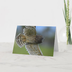 Owl Flying Over Card