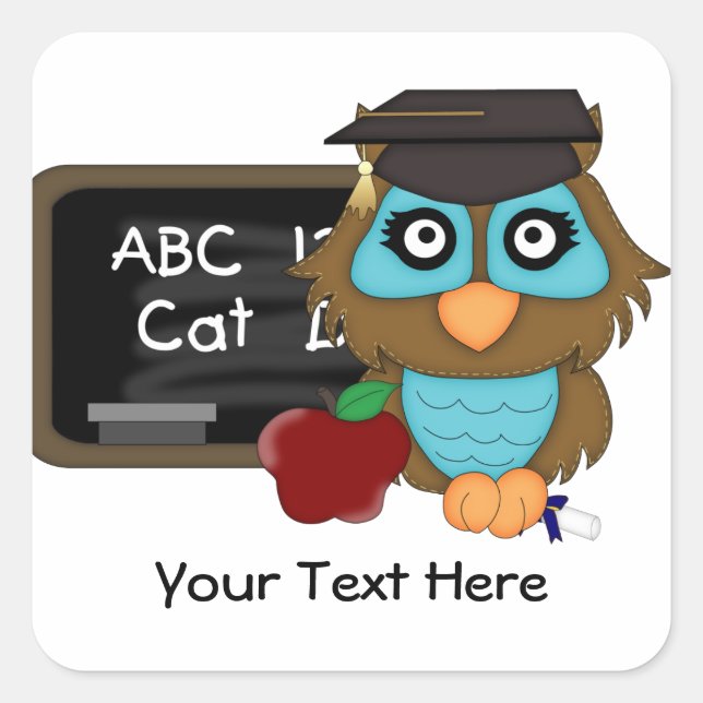 Owl Graduation1 (Customisable) Square Sticker (Front)