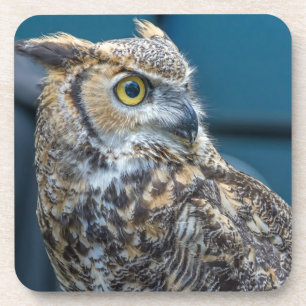 Owl hard plastic coasters