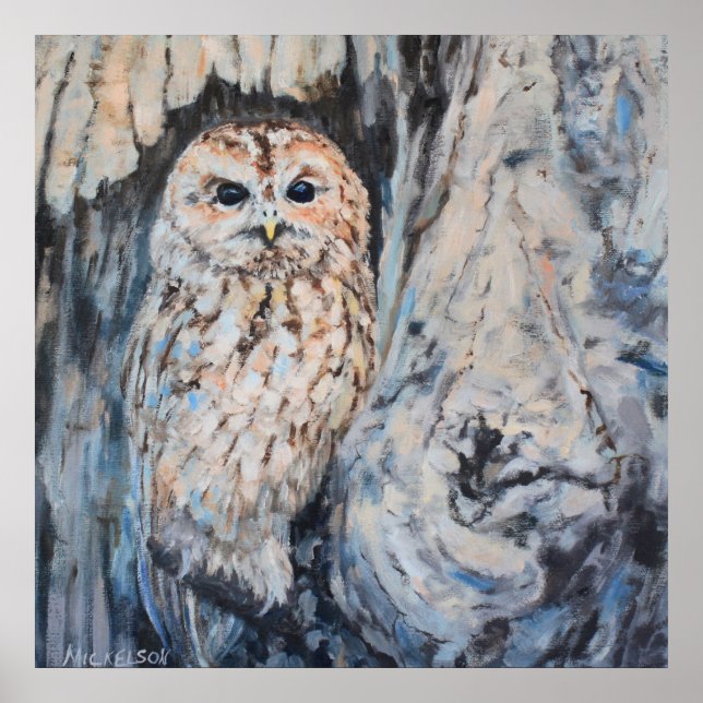 Owl Hideout Fine Art Print (Front)