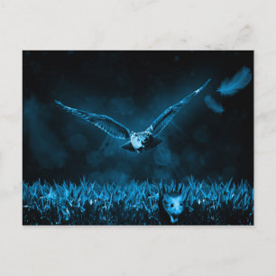 Owl Hunt Fantasy Night Postcard