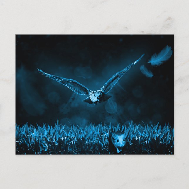Owl Hunt Fantasy Night Postcard (Front)