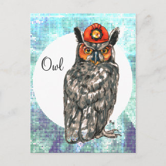 Owl in a helmet postcard