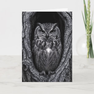 Owl in a Tree Hollow Black and White Card