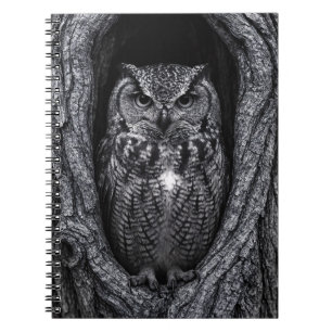 Owl in a Tree Hollow Black and White Notebook