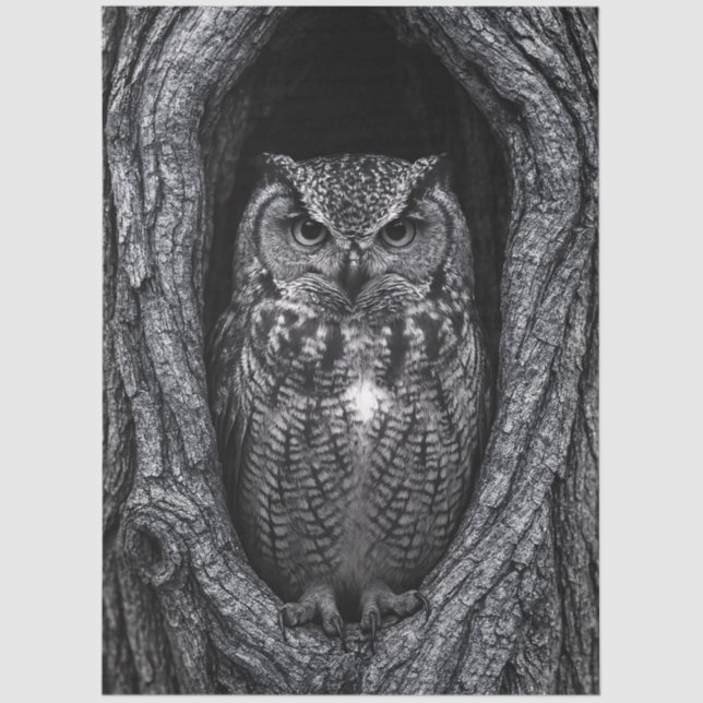 Owl in a Tree Hollow Black and White Tissue Paper (Front)