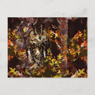 Owl in Autumn Postcard