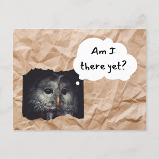 Owl in Brown Bag Postcard "Am I There Yet?" Humour