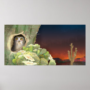owl in cactus - Poster