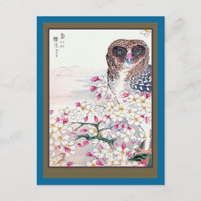 Owl in Cherry Tree Postcard (Front)