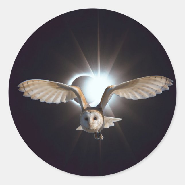 Owl in Outerspace Classic Round Sticker (Front)