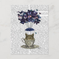 Owl In Teacup