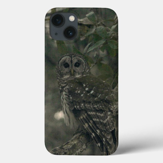 Owl In The Forest IPhone Cases (Back)