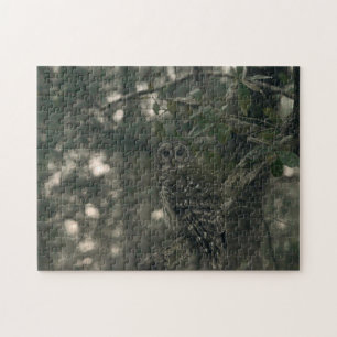 Owl in the Forest Jigsaw Puzzle