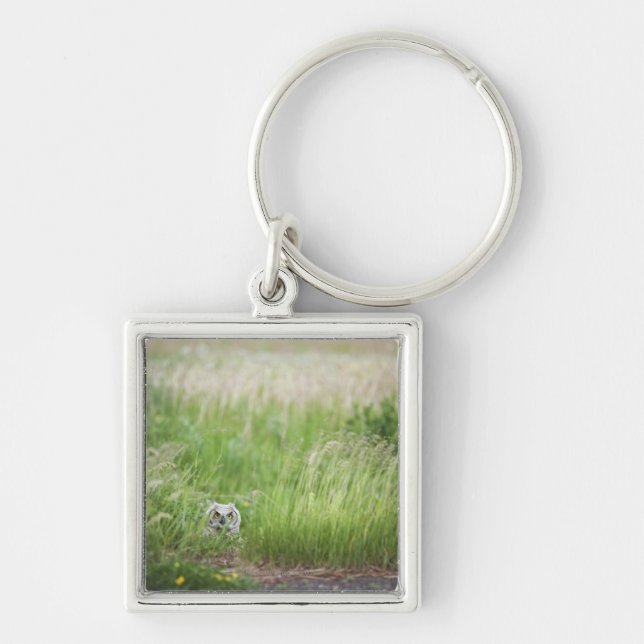 Owl In The Grass Key Ring (Front)
