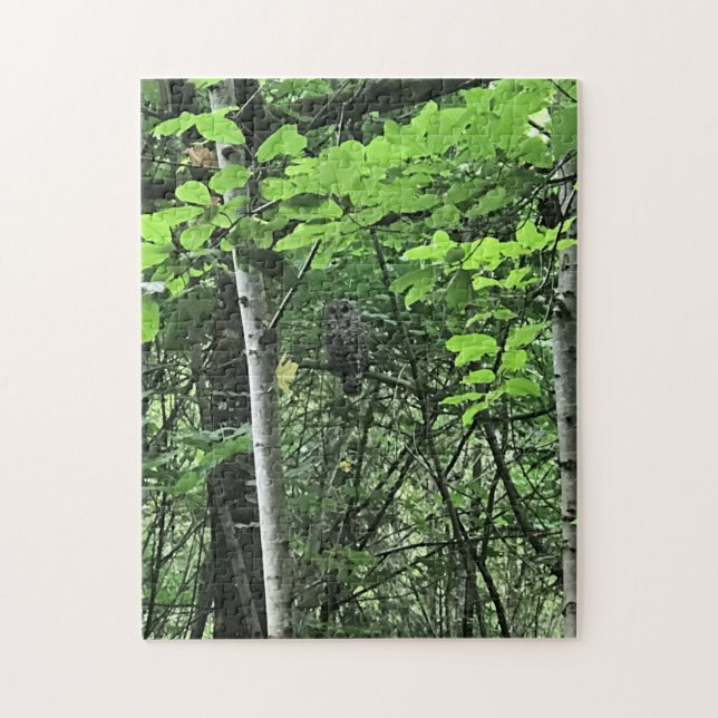 Owl in the Trees, Oregon Jigsaw Puzzle (Vertical)