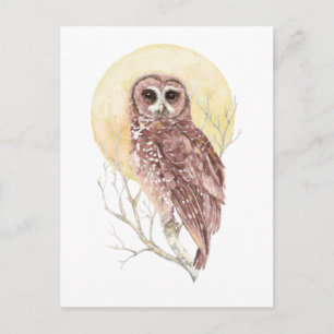 Owl in Tree with Moon Watercolor Bird, Animal Postcard