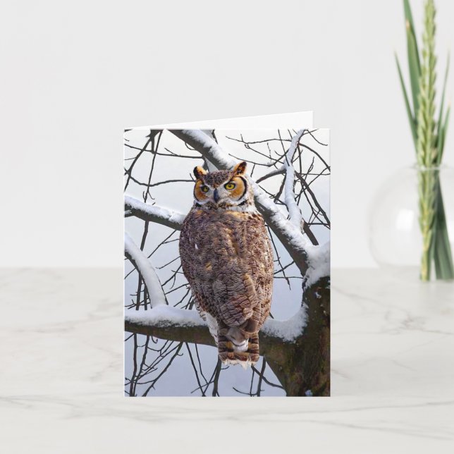 "Owl In Winter" Note Card (Front)