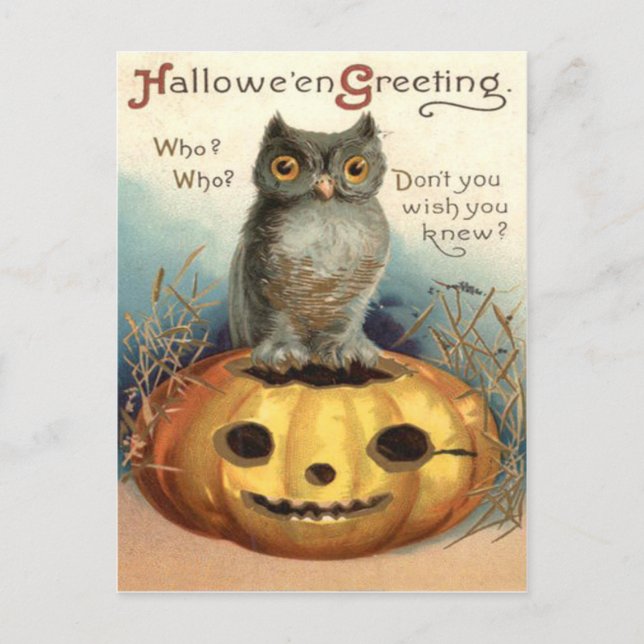 Owl Jack O Lantern Pumpkin Postcard (Front)