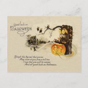 Owl Jack O' Lantern Pumpkin Tree Postcard
