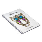 Owl Jewerly Photo Colourful Eyes and Wings