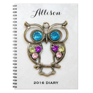 Owl Jewerly Photo Colourful Eyes and Wings Notebook