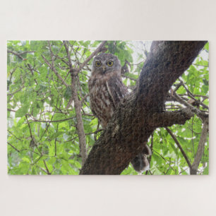 owl jigsaw puzzle