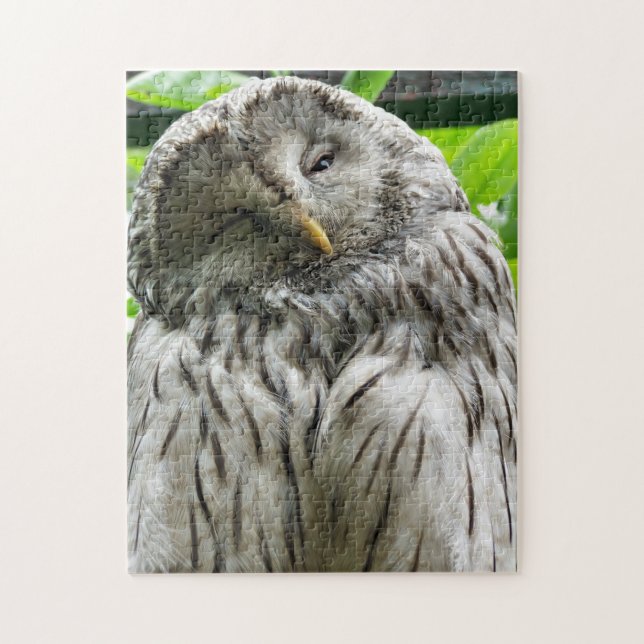 OWL JIGSAW PUZZLE (Vertical)