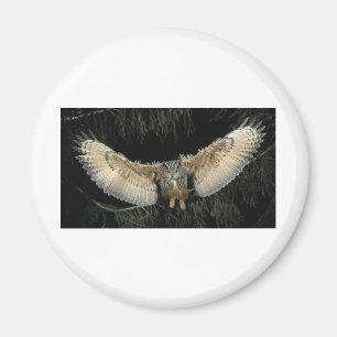 Owl Landing Magnet