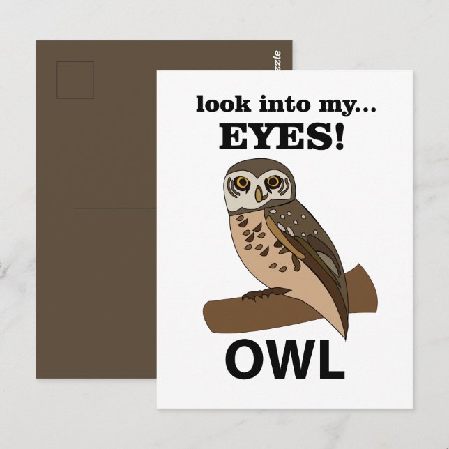 Owl Look Into My Eyes Owl Postcard (Front/Back)