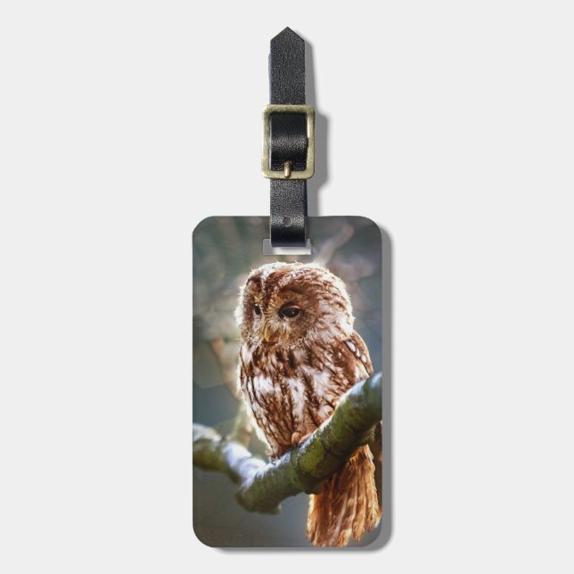 Owl Luggage Tag (Front Vertical)