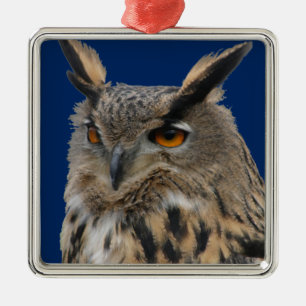 Owl Metal Ornament