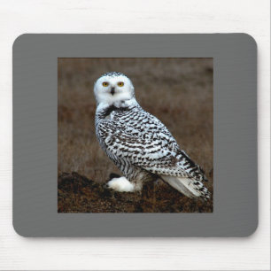 Owl Mouse Pad